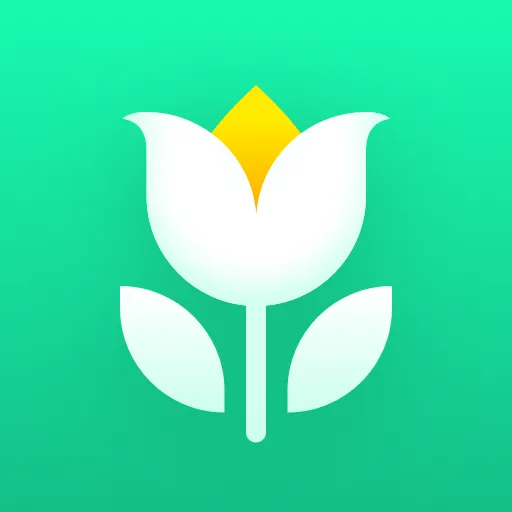Plant Parent: Plant Care Guide