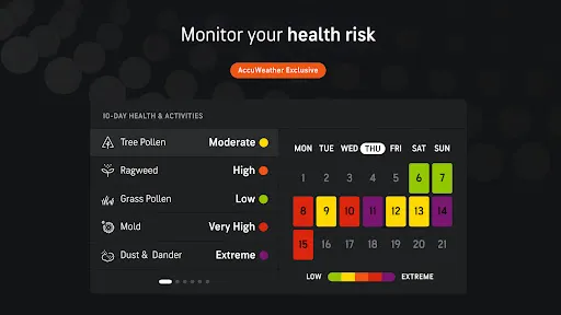 Screenshot 16
