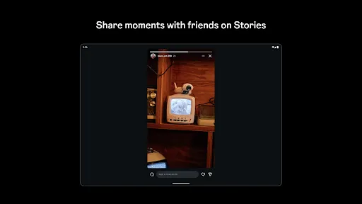 Screenshot 17