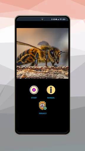 Screenshot 29