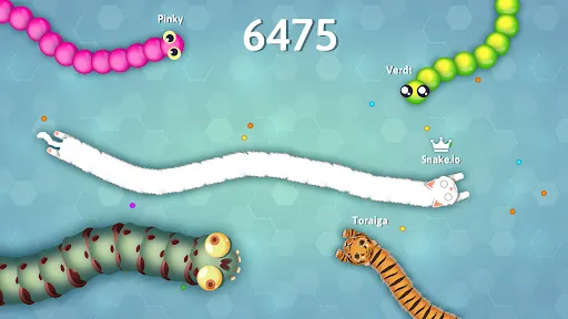 Screenshot 19