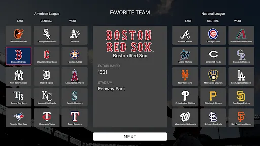 Screenshot 29