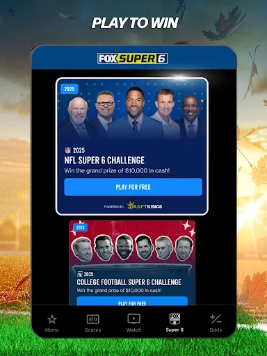 Screenshot 17