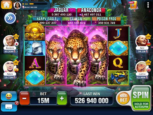 Screenshot 15