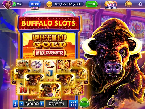 Screenshot 13