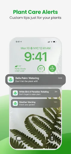 Screenshot 16