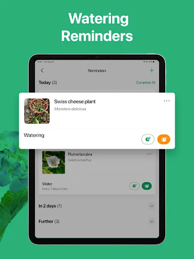 Screenshot 21