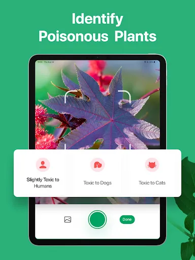 Screenshot 22