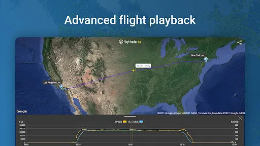 Screenshot 31