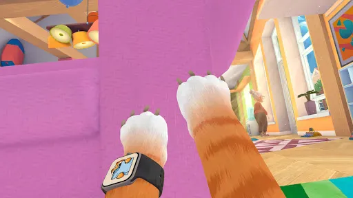 Screenshot 14