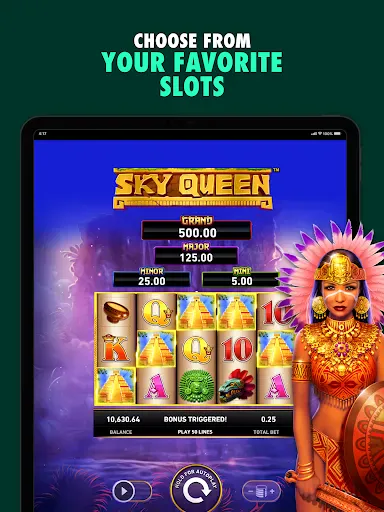 Screenshot 14