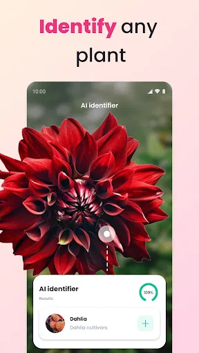 Screenshot 21
