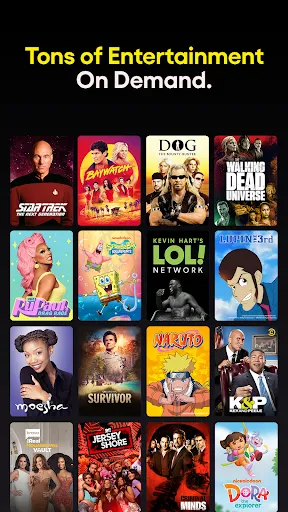 Screenshot 24
