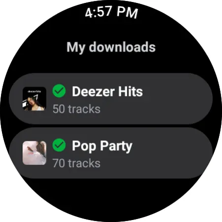 Screenshot 31