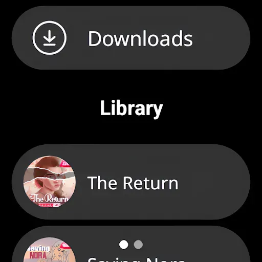 Screenshot 43