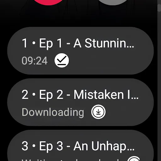 Screenshot 45