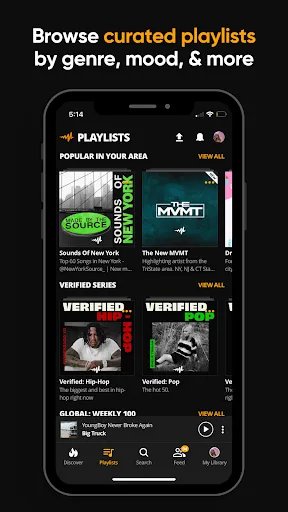 Screenshot 19