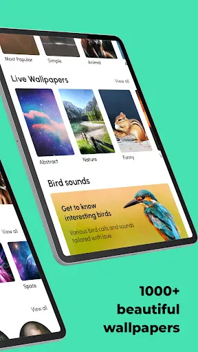 Screenshot 16