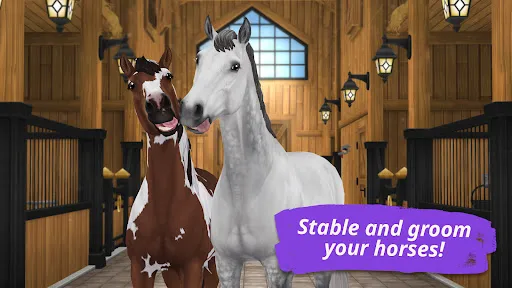 Screenshot 24