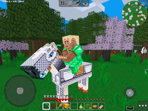Screenshot 17