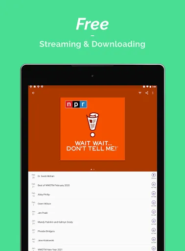 Screenshot 17