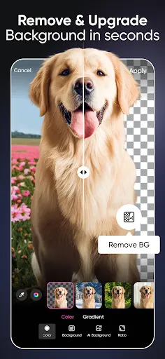 Screenshot 20