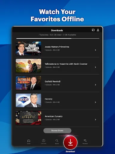 Screenshot 12