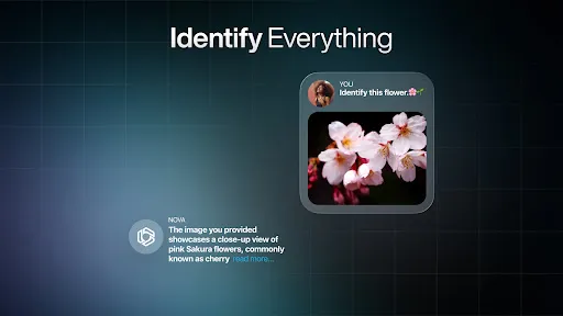 Screenshot 38